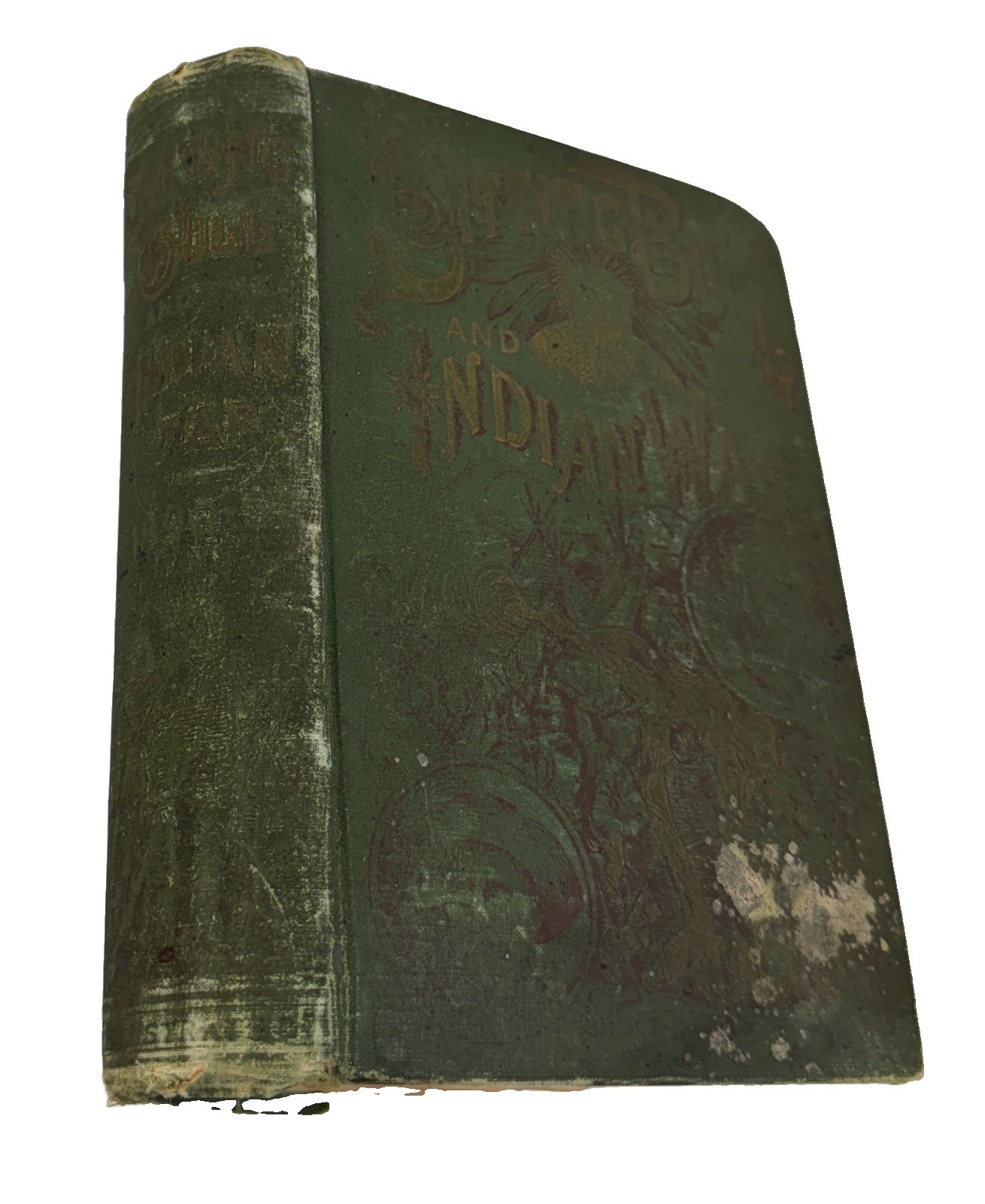 1891 Life of Sitting Bull History Indian War W Fletcher Johnson Sioux