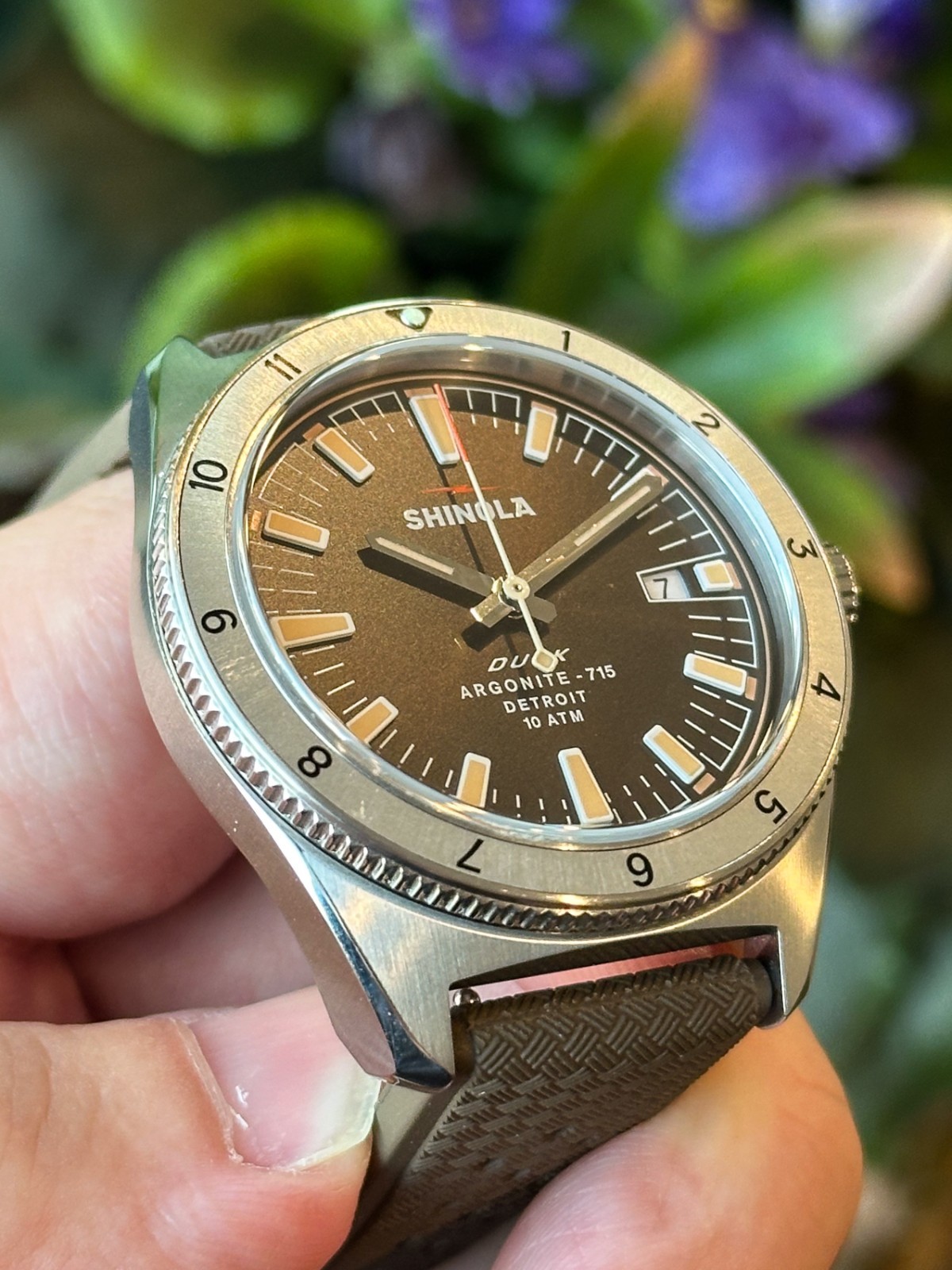 Shinola Duck 3HD Mallard Brown Shinola Duck 3HD Mallard Brown