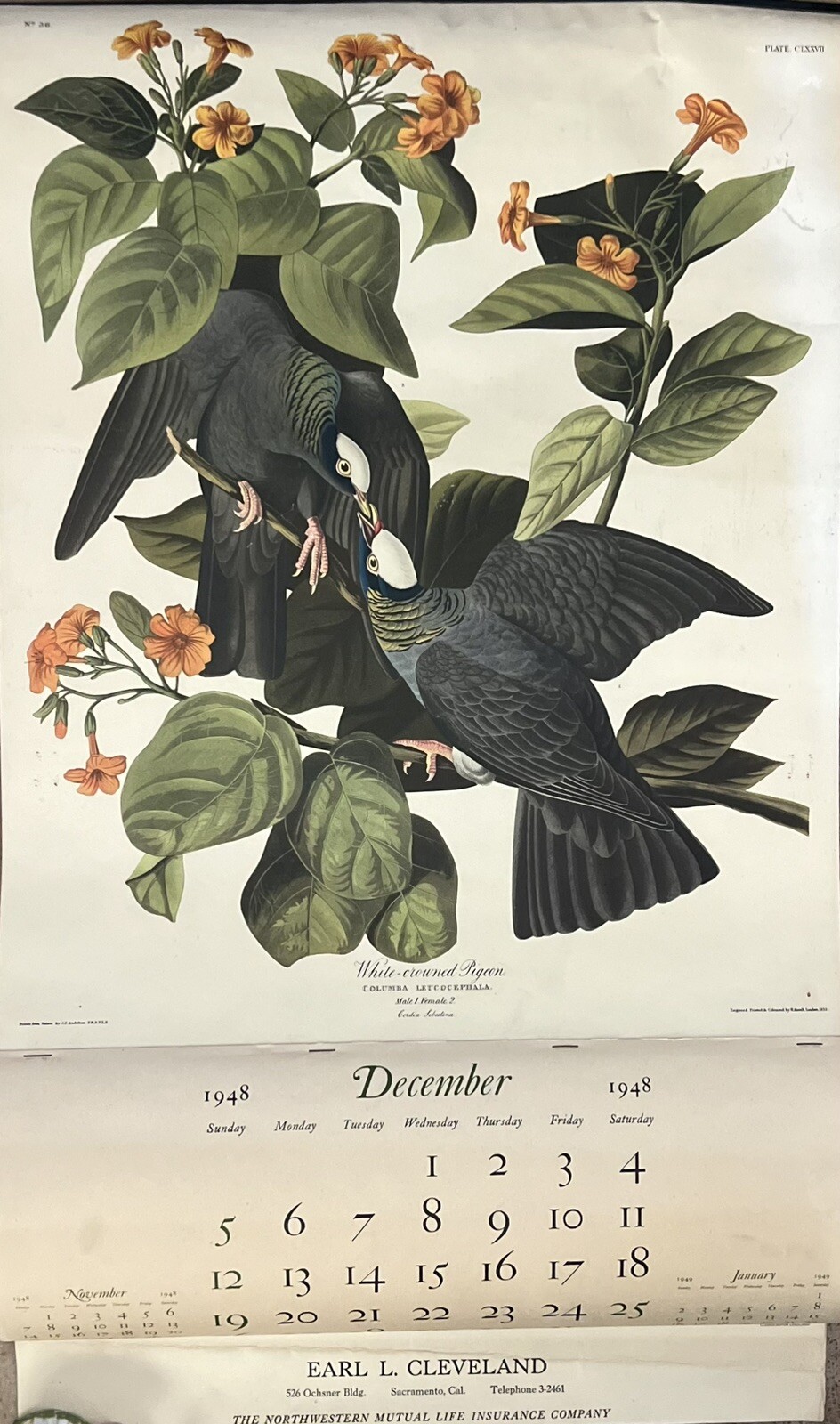 Vtg 1949 JJ Audubon Bird Wall Hanging Calendar, Nature Inspired Promo Ad Artwork