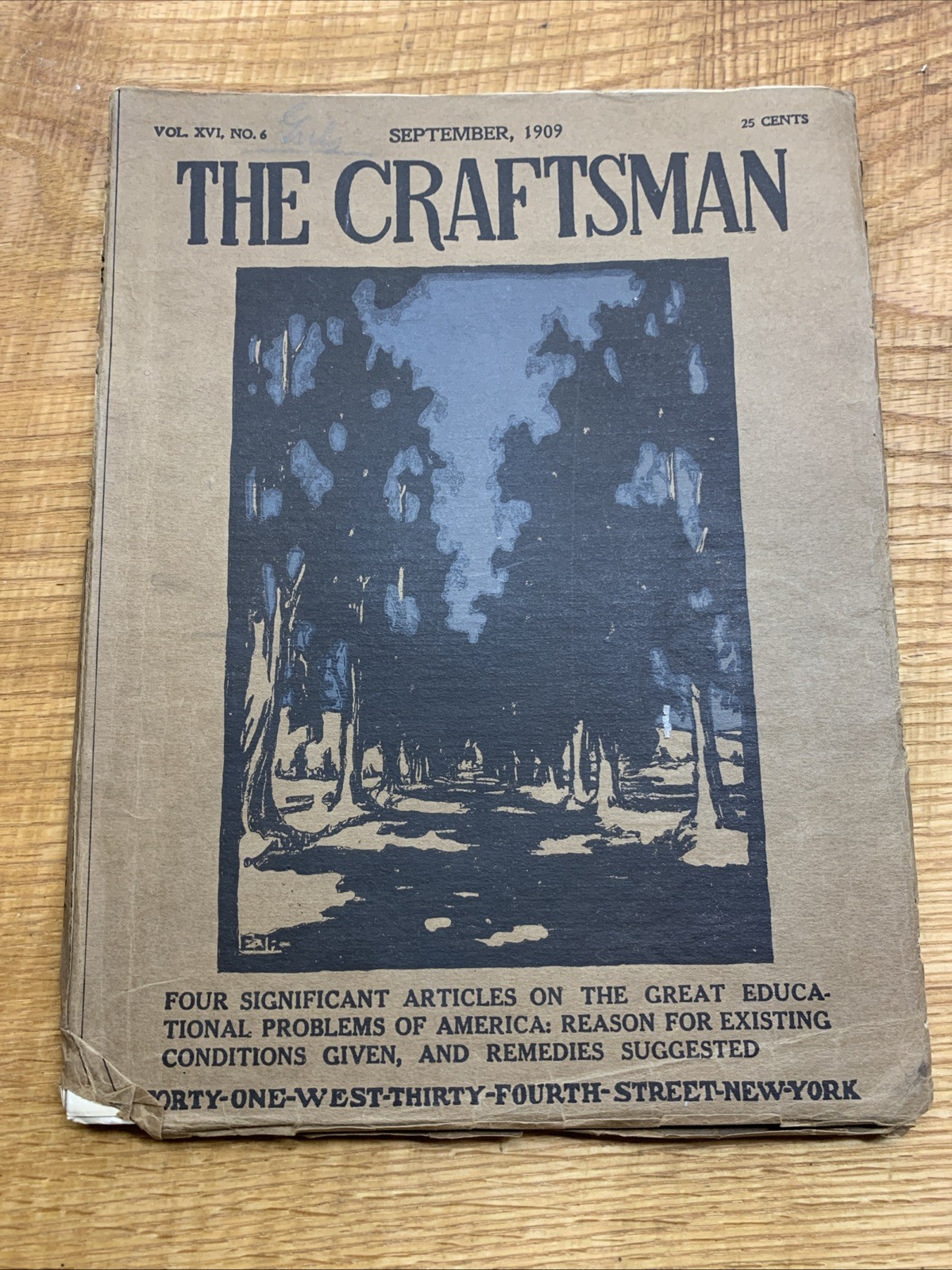 The Craftsman Magazine (September, 1909 VOL XVI NO.6)