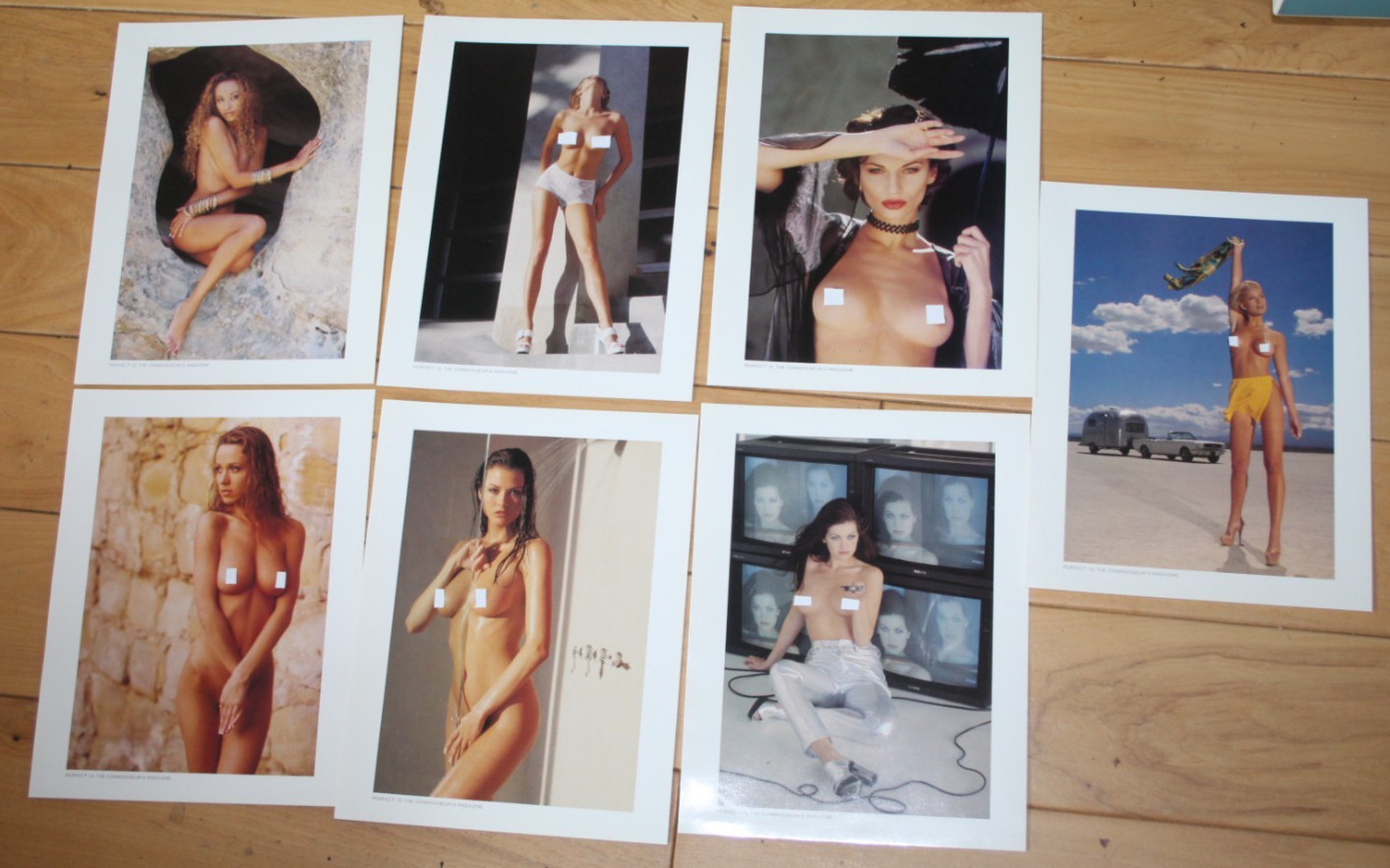LOT OF 7 PERFECT 10 MAGAZINE LARGE 8-1/2X11 PROMO PHOTOS