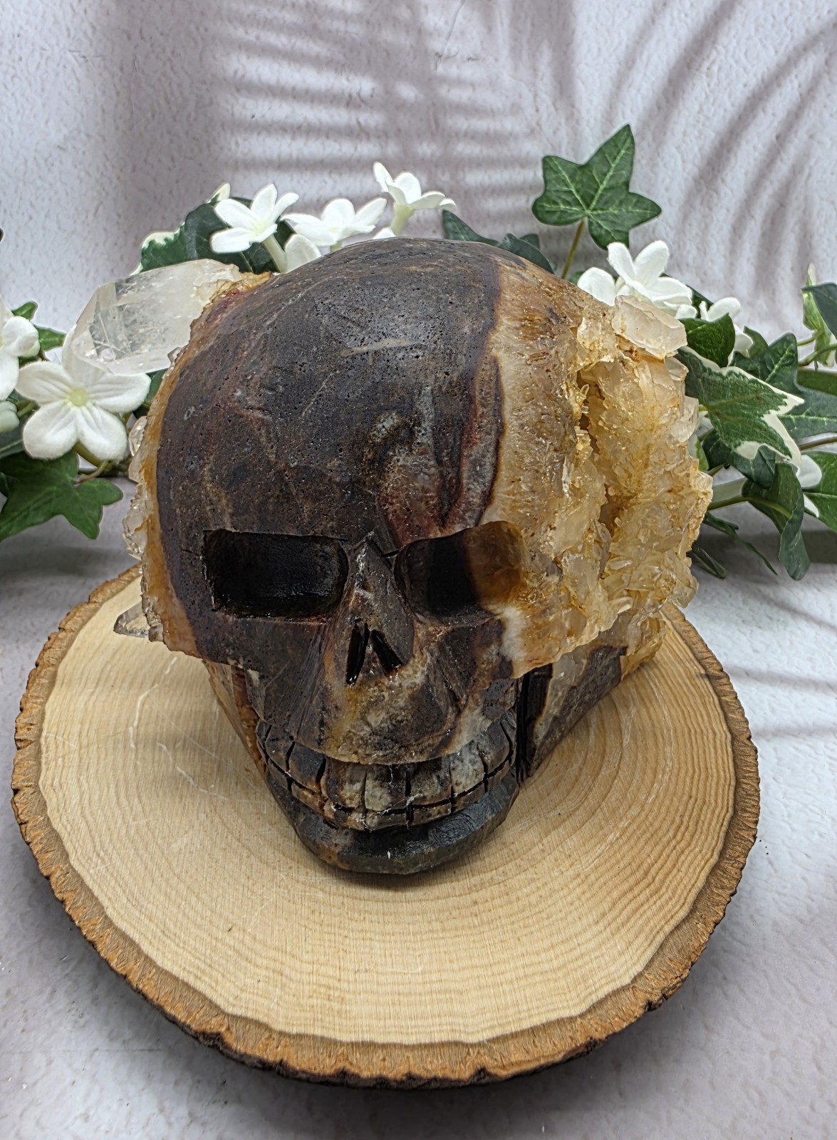Clear Quartz Crystal Skull, Natural Quartz Cluster on Carved Stone Matrix