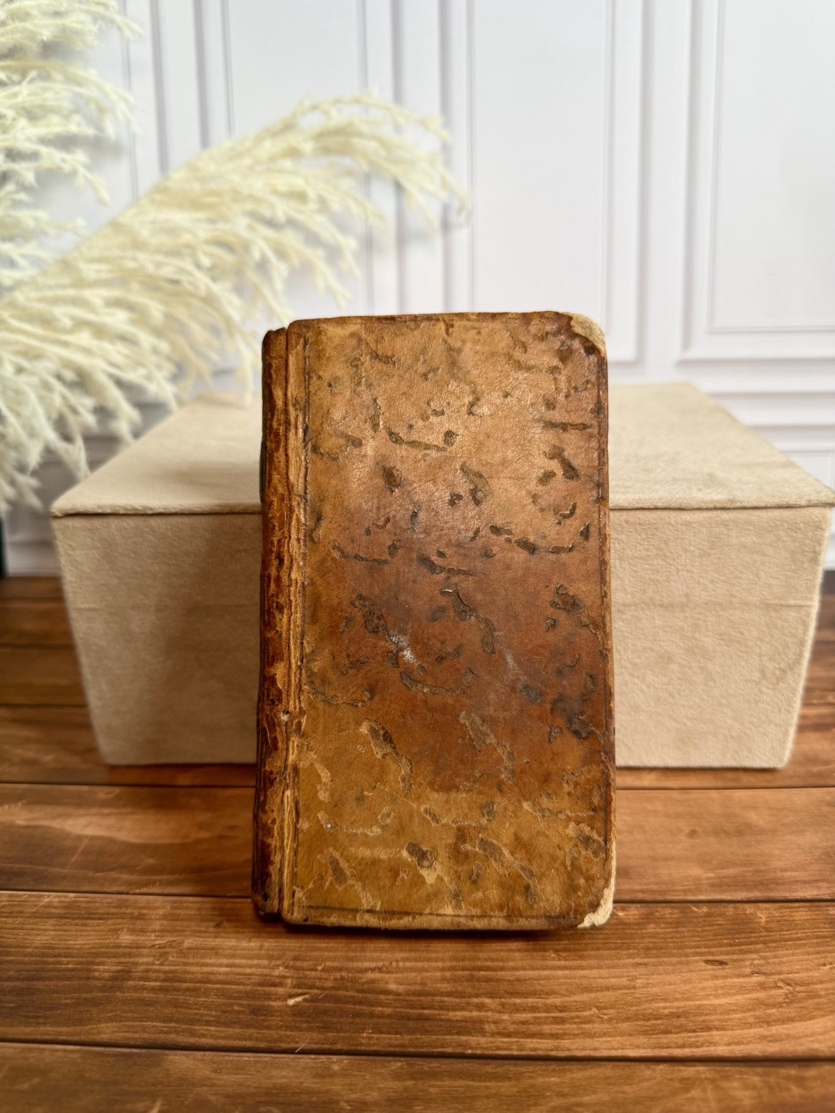 1770 Œuvres de Molière Tome VI Paris Le Clerc Contemporary Calf w/ Engravings
