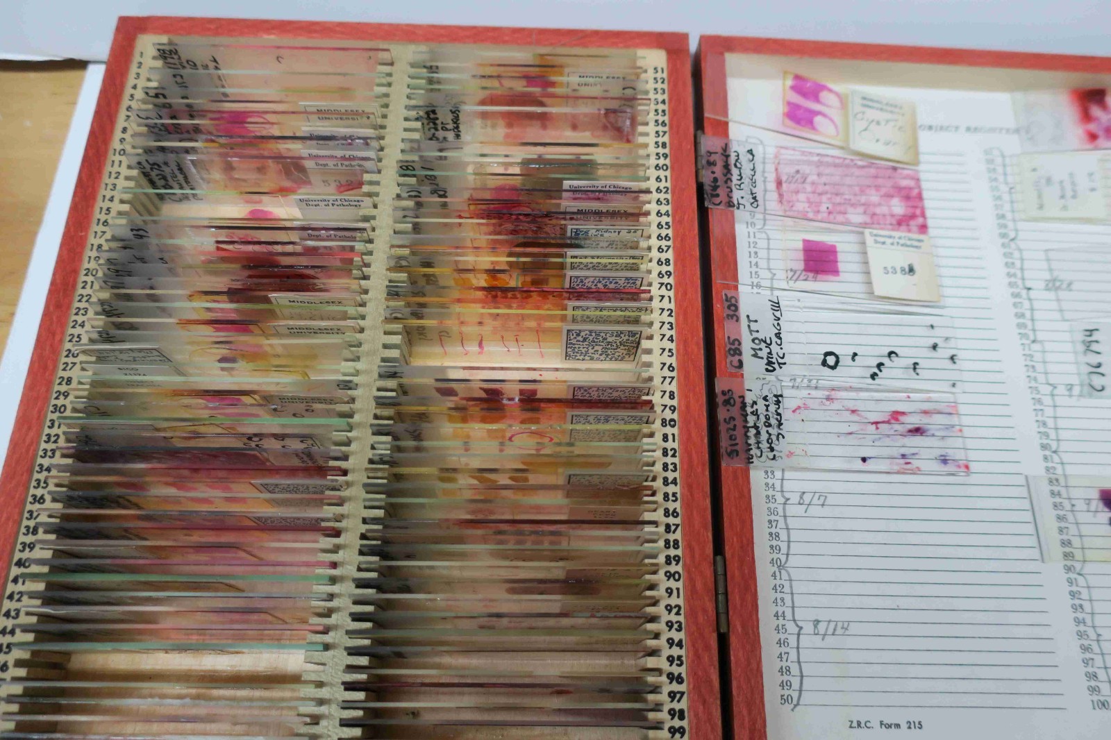 Mixed medical / biological microscope slides