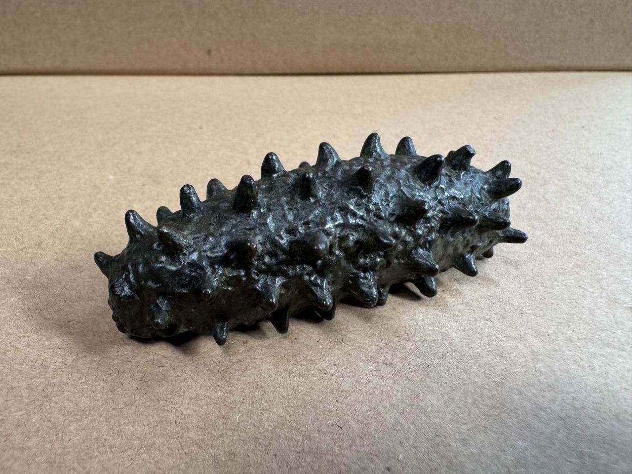 Japanese Bronze Sea Cucumber - Signed - Okimono Sculpture