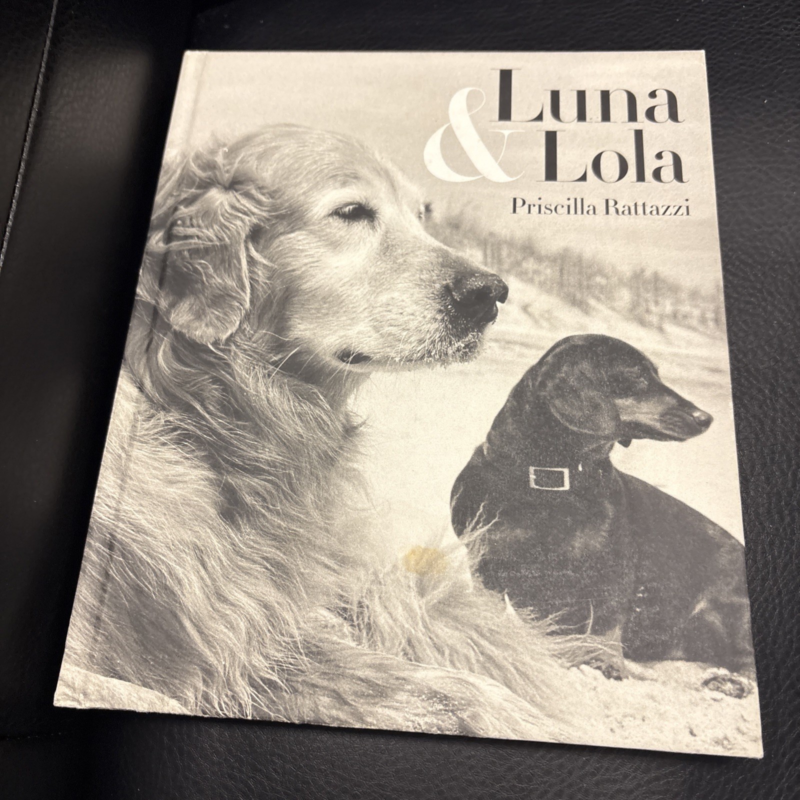 LUNA & LOLA By Priscilla Rattazzi SIGNED - Dog Canine Photography LUNA & LOLA By Priscilla Rattazzi SIGNED - Dog Canine Photography