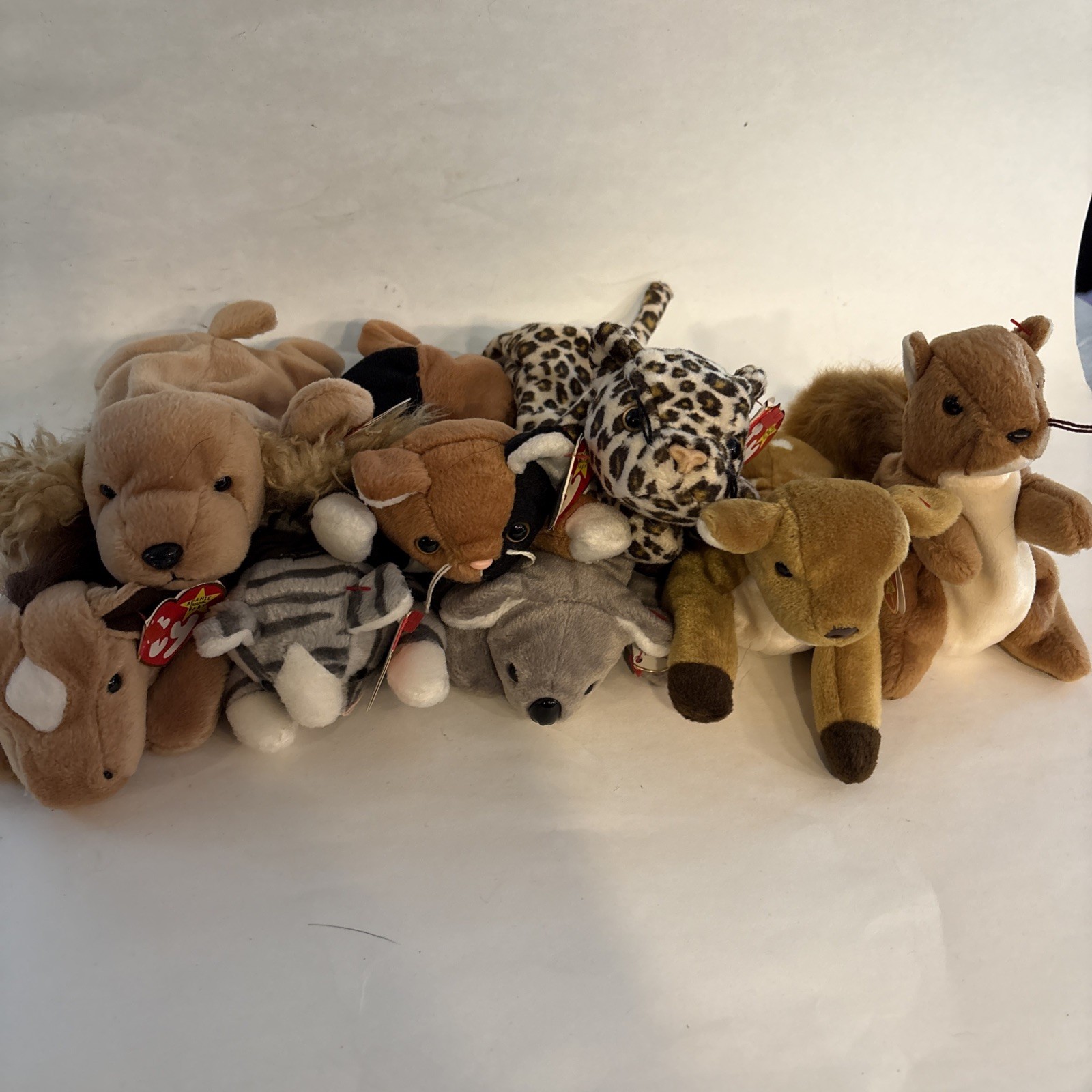 (8) TY Beanie Babies Nuts, Whisper, Freckles, Chip, Prance, Derby, Mel, Spunky (8) TY Beanie Babies Nuts, Whisper, Freckles, Chip, Prance, Derby, Mel, Spunky