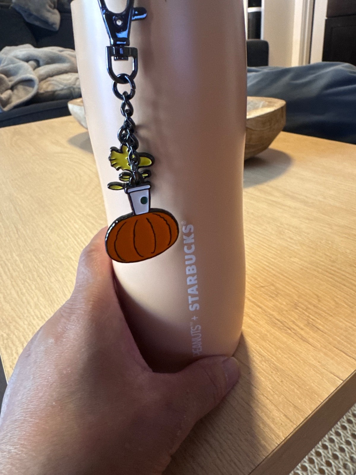 USA PEANUTS x Starbucks Snoopy Fall Pumpkin Stainless Tumbler 16oz 2026 NEW, NWT
