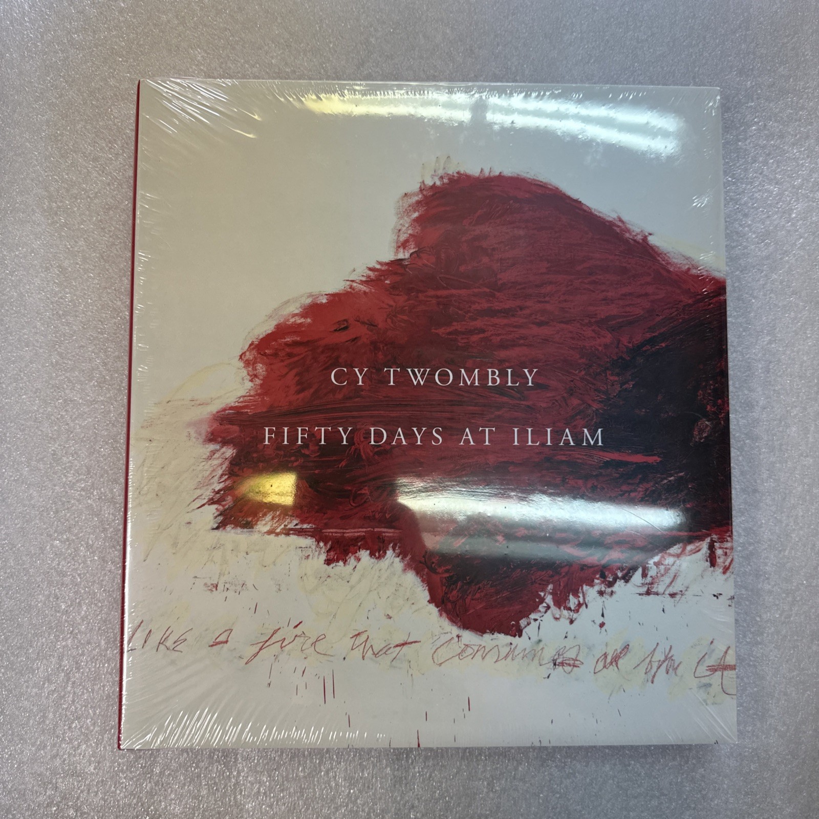 Cy Twombly : Fifty Days at Iliam by Olena Chervonik (Hardcover)