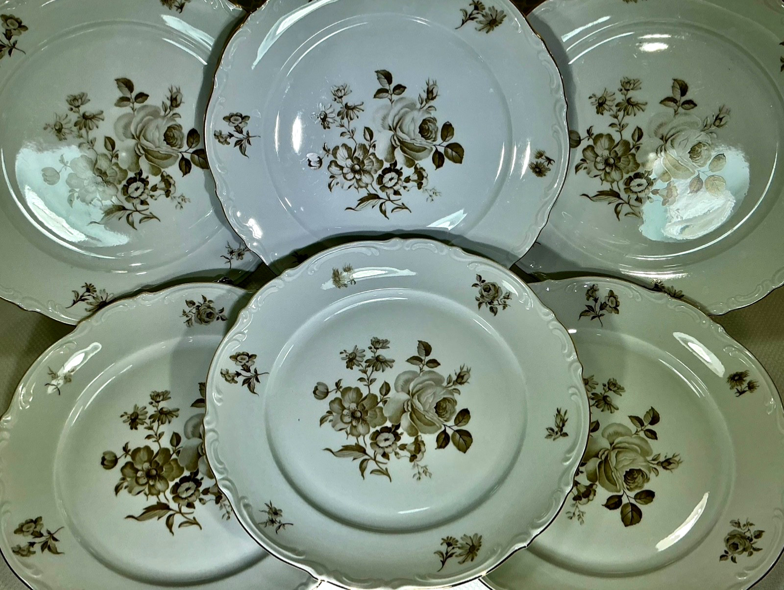 Mitterteich Charming Barbara 10 1/2” Set of 6 Dinner Plates 1949-1959 Germany Mitterteich Charming Barbara 10 1/2” Set of 6 Dinner Plates 1949-1959 Germany