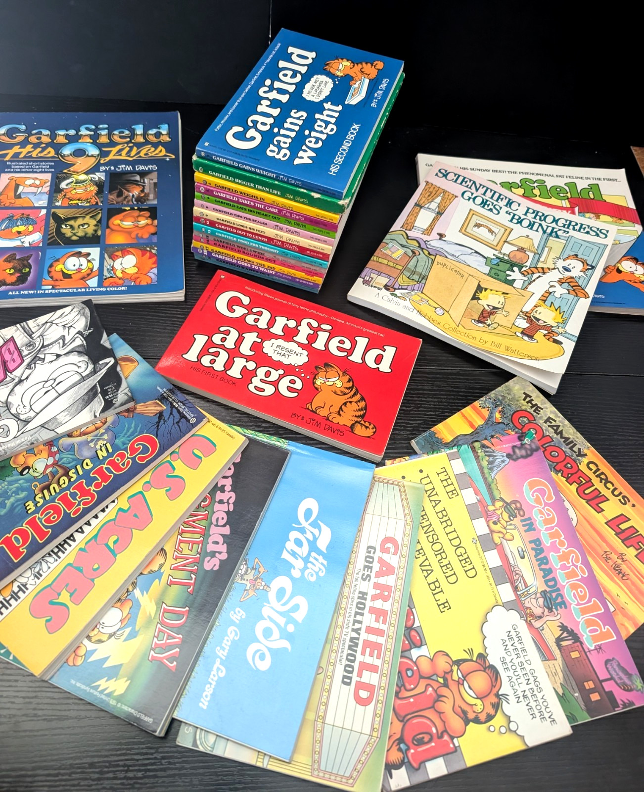 Garfield Jim Davis Lot 28 Vintage Comic Books Some First Editions Calvin Hobbes Garfield Jim Davis Lot 28 Vintage Comic Books Some First Editions Calvin Hobbes