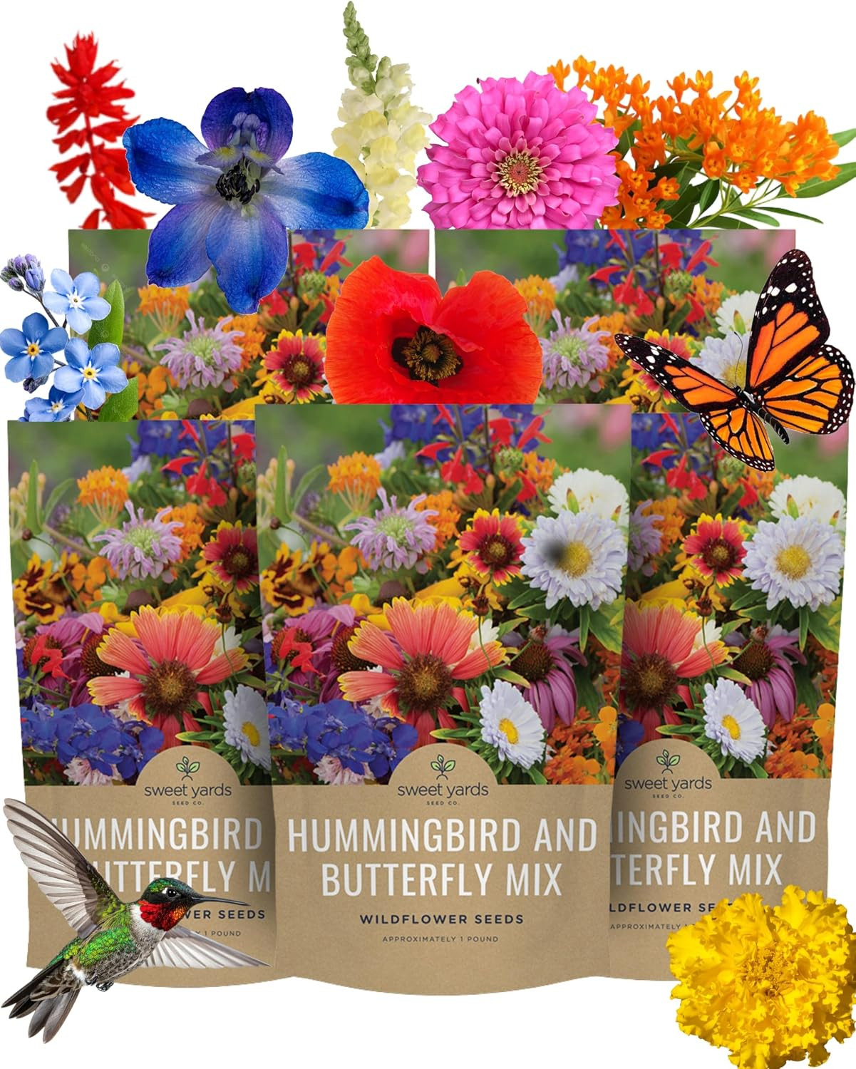 Bulk Wildflower Seeds Butterfly and Humming Bird Mix - 5 Pounds - over 600,000 O Bulk Wildflower Seeds Butterfly and Humming Bird Mix - 5 Pounds - over 600,000 O