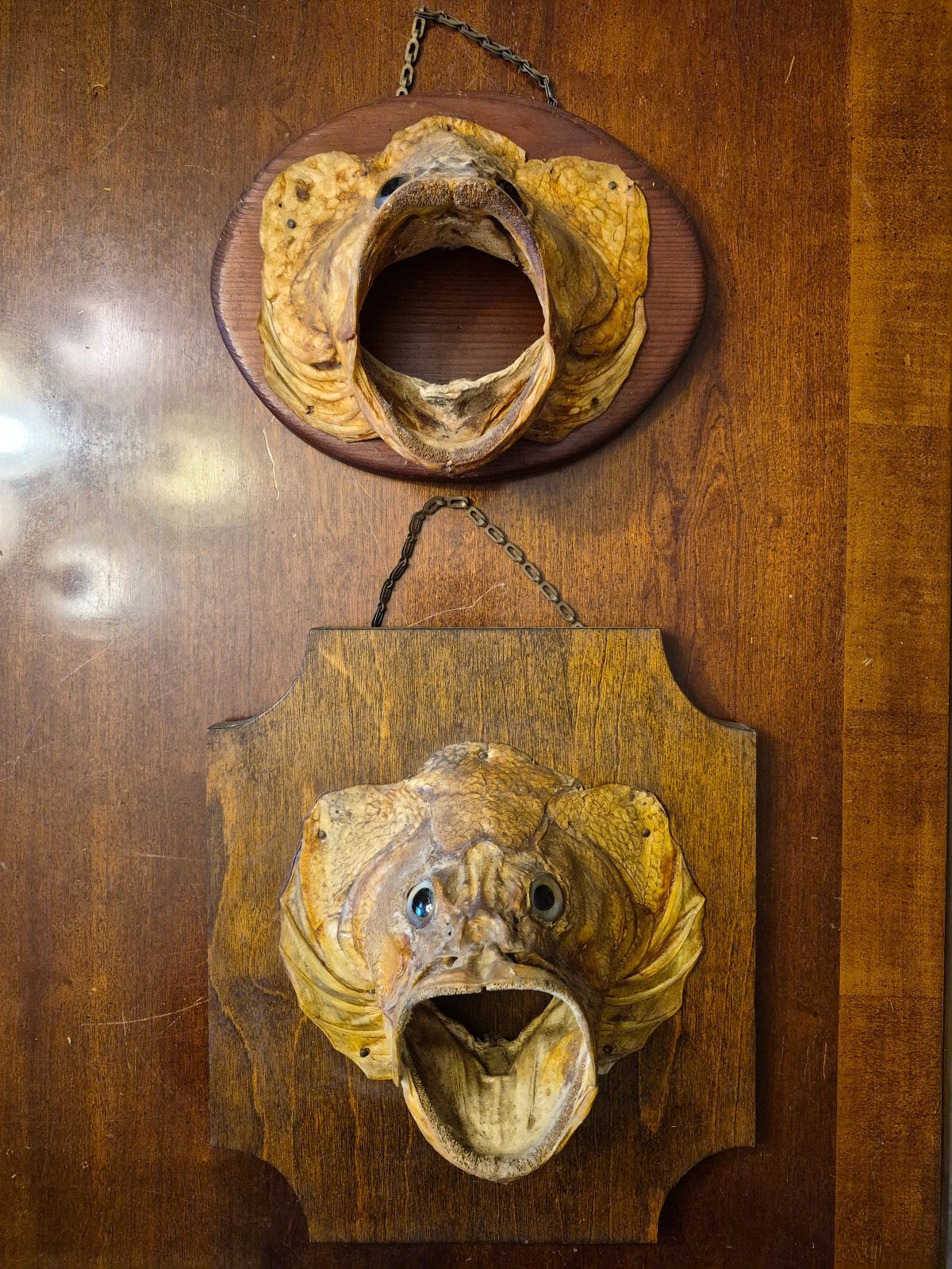 Vintage Taxidermy Fish Head Mount Pair Wood Plaque Oddities Cabin Bar Decor