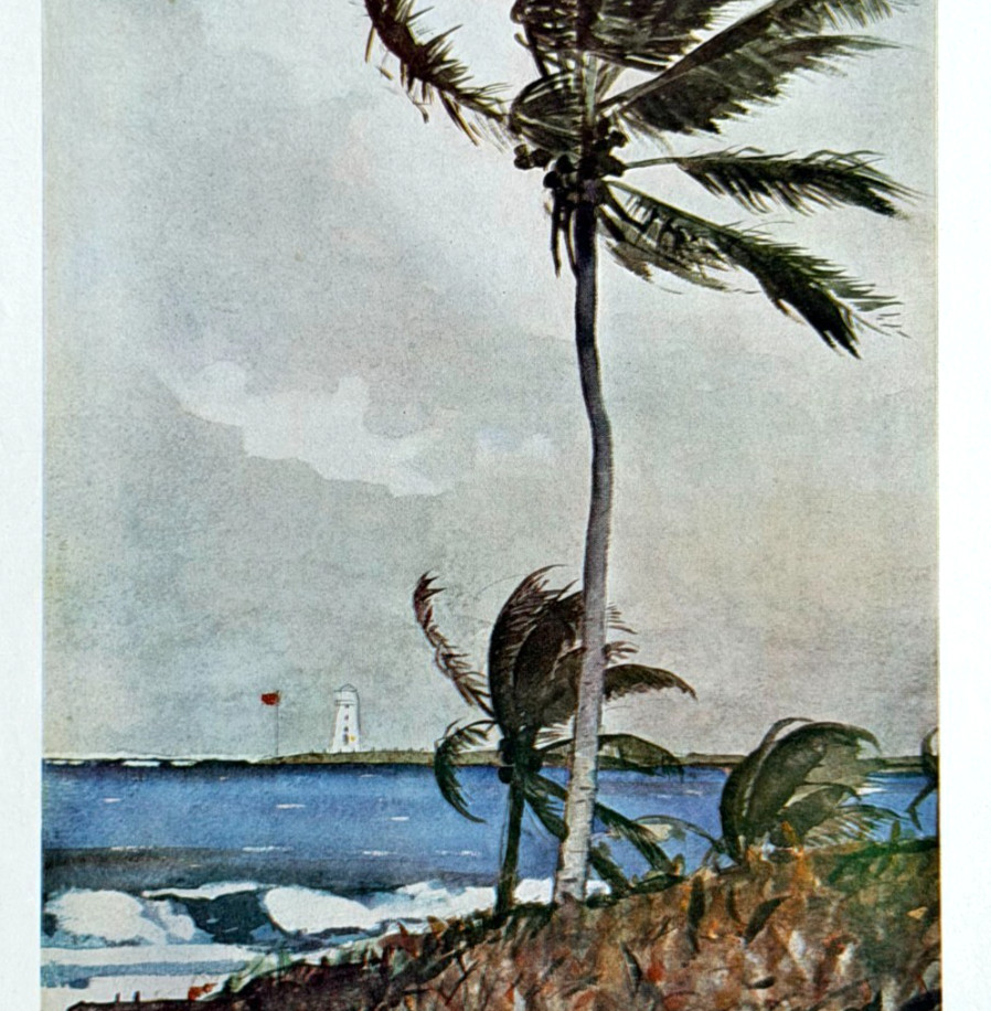 c1920-30s The Palm Tree Nassau Homer Color Plate Print Classic Antique Art Repro