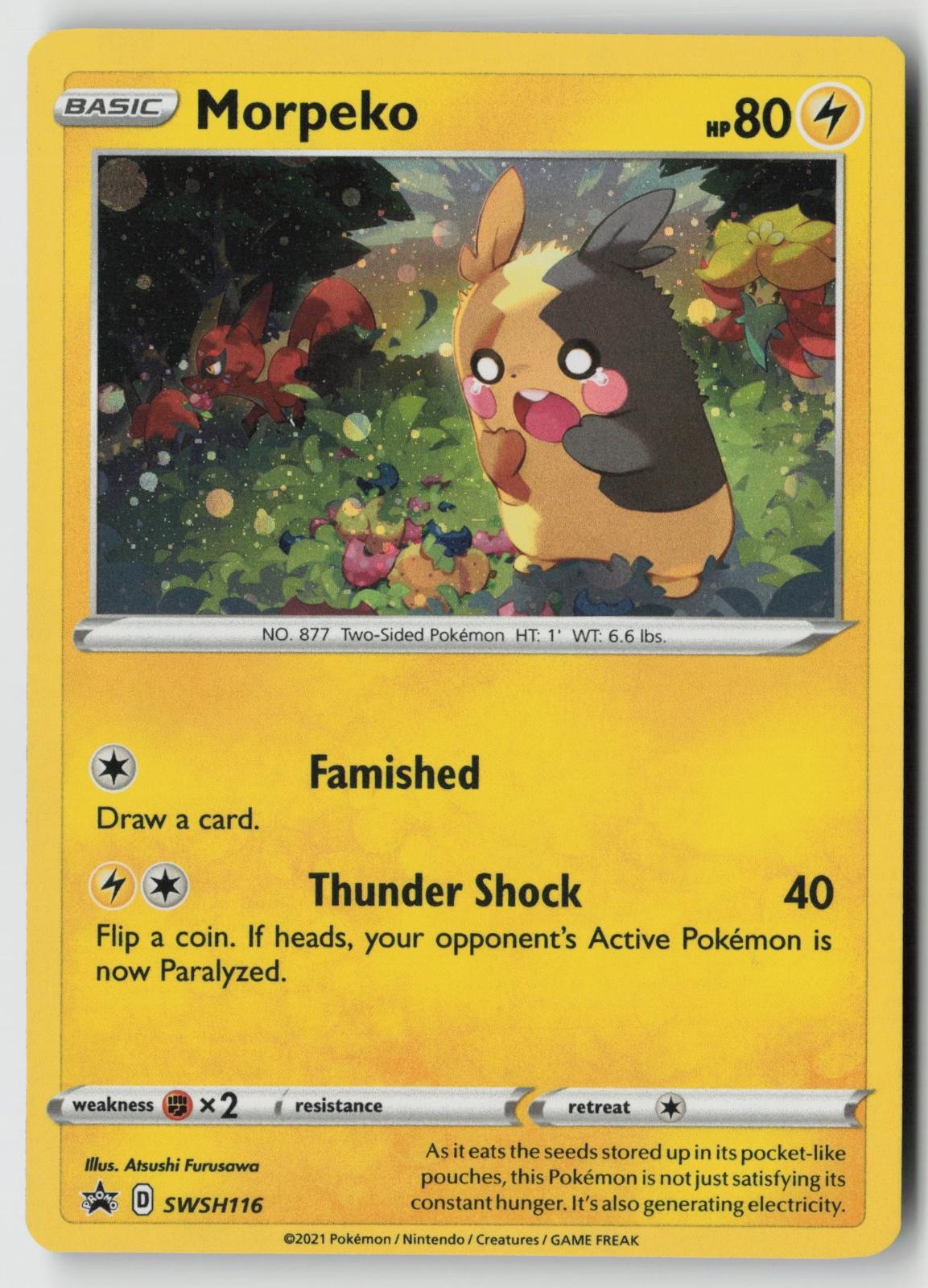 Sword & Shield Promo Morpeko Holo SWSH116 LP Sword & Shield Promo Morpeko Holo SWSH116 LP