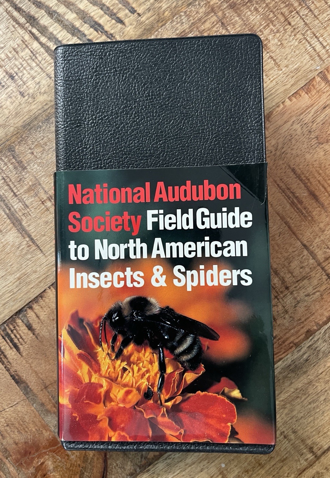 National Audubon Society Field Guide to Insects and Spiders : North America...