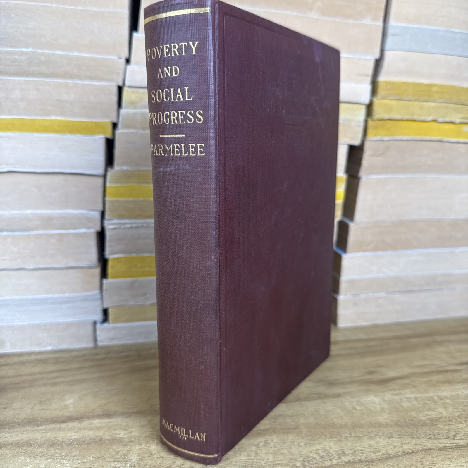 Antique Book Poverty And Social Progress 1916 1st Edition Maurice Parmelee