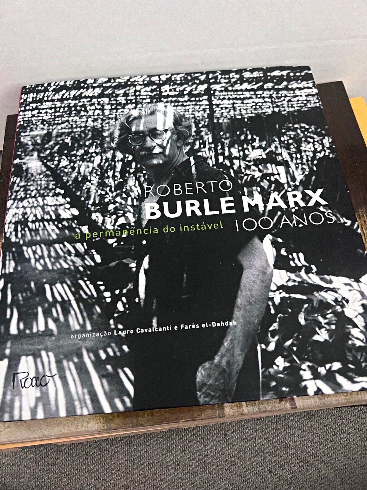 Roberto Burle Marx: A Permanência do Instável 100 Anos HC Illus PT 2009