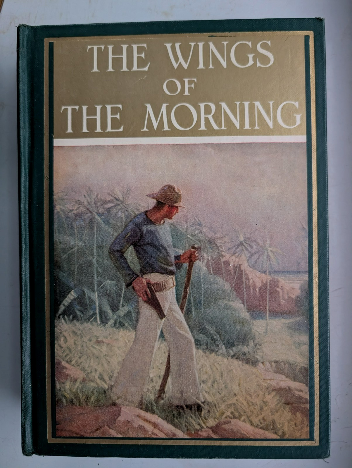 The Wings of the Morning 1924 Louis Tracy / Mead Schaeffer Illustrations