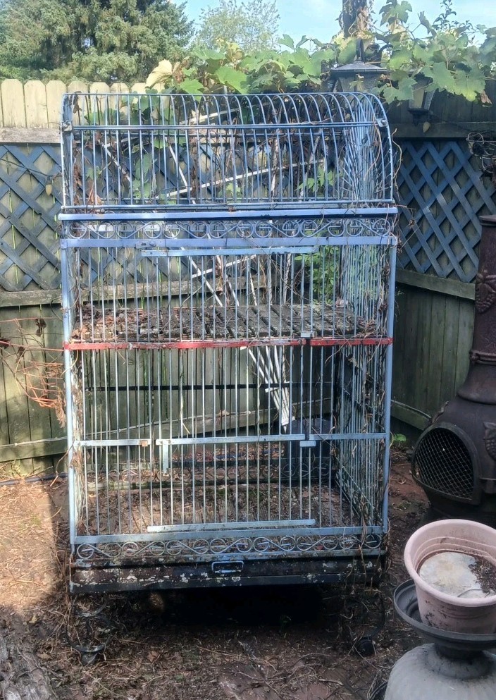 Huge 65x36x24 Vintage Metal Bird Cage Wrought Iron?