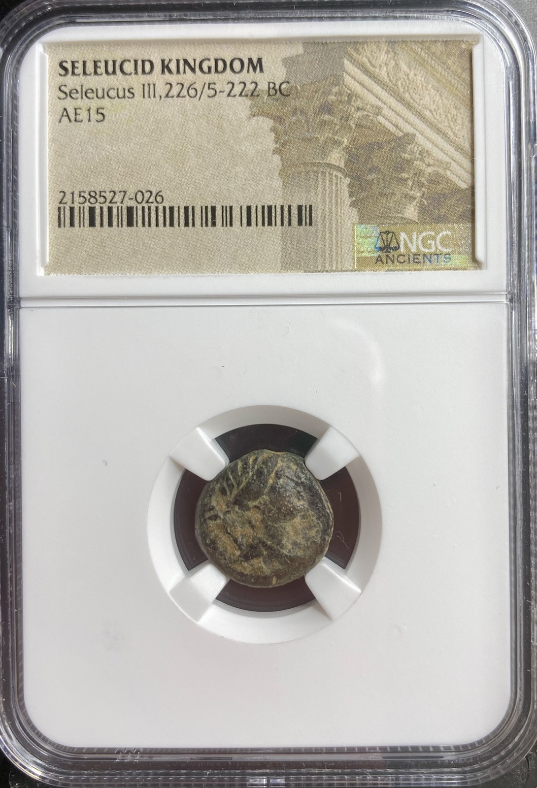 Ancient Greek  Kingdom Coin Seleucus III 226-222BC NGC Certified Genuine