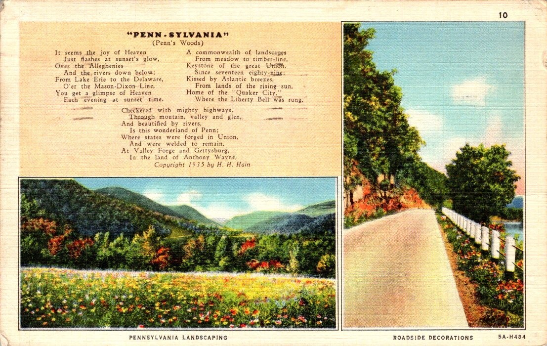 VINTAGE POSTCARD - \