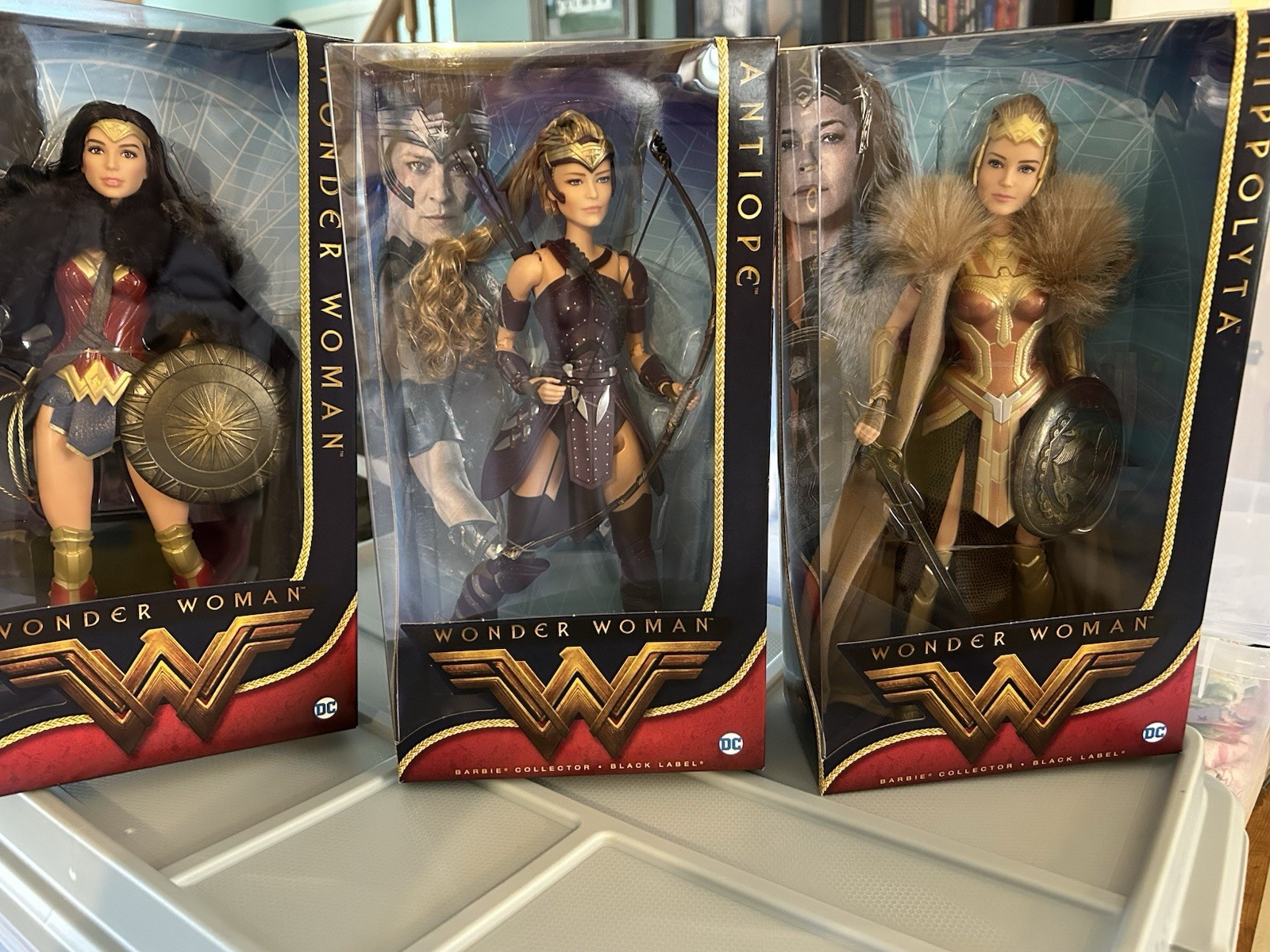 Mattel Barbie Wonder Woman Her mother Hippolyta and Aunt Antiope