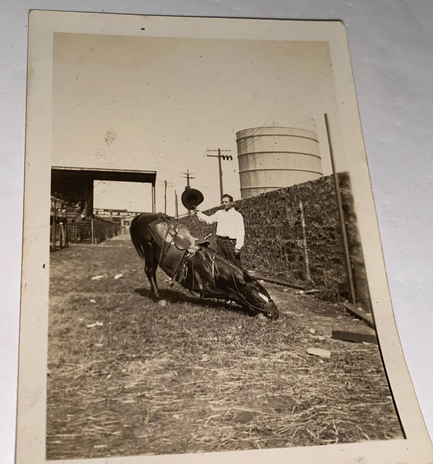 Rare Antique Western American Horse Tarzan Egyptian Prayer Trick Snapshot Photo
