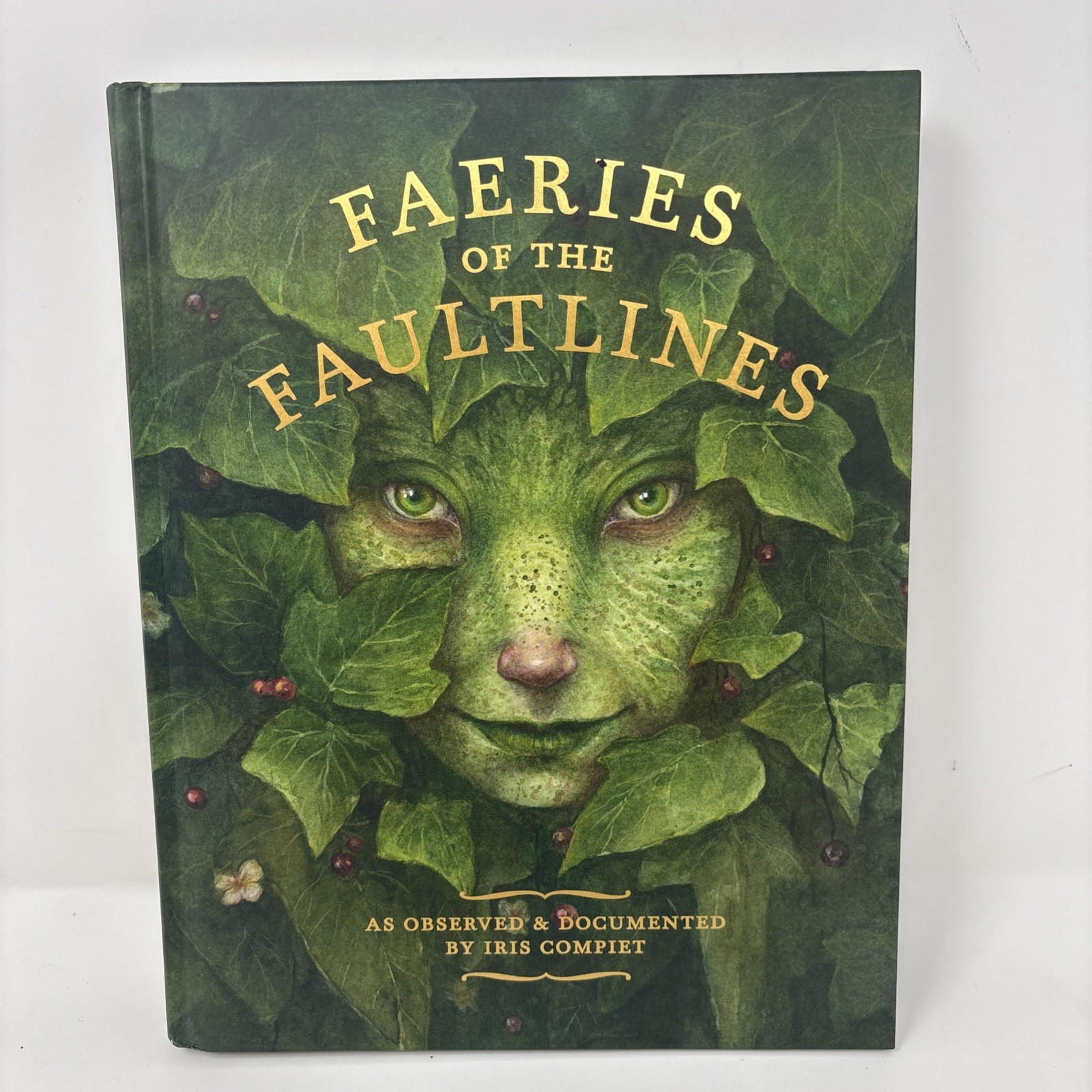 Faeries of the Faultlines : Expanded, Edited Edition by Iris Compiet 2021