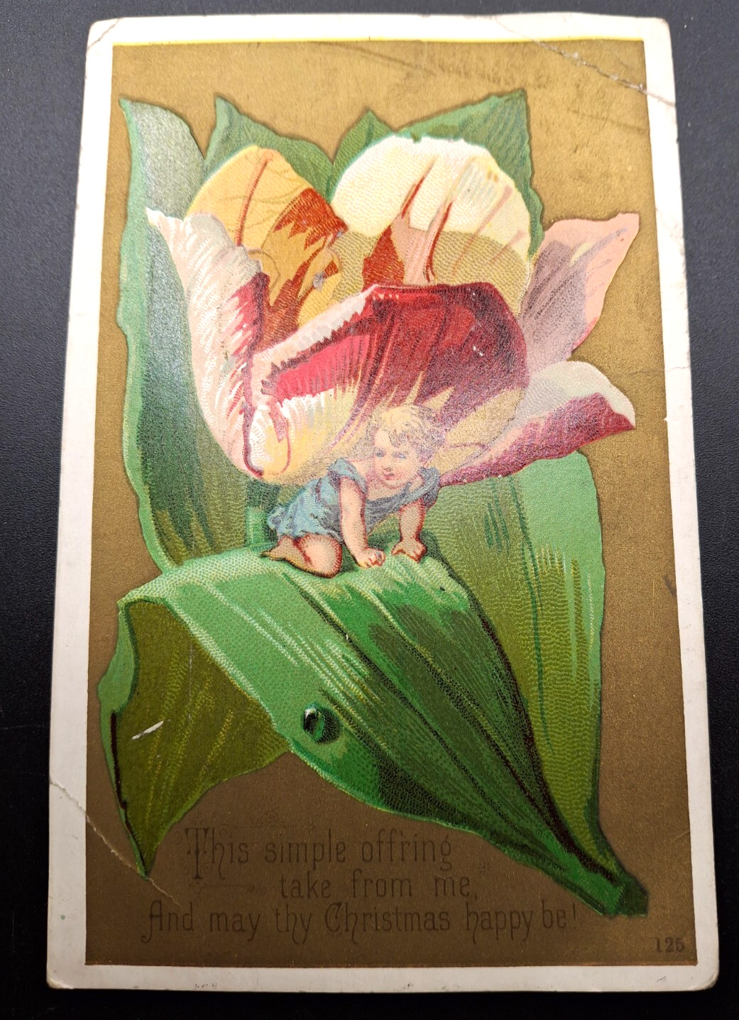 Child in Flower Victorian Trade Card, McCarty & Hasberg New York