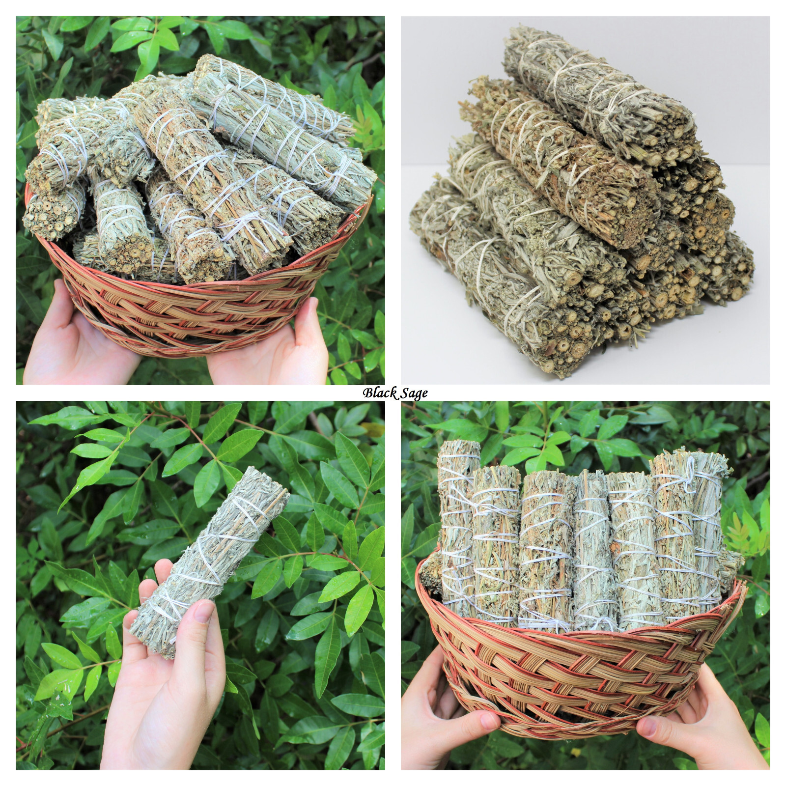 WHOLESALE Sage Smudge Bundles: Black, Blue, Cedar, Copal, Desert, White, Yerba