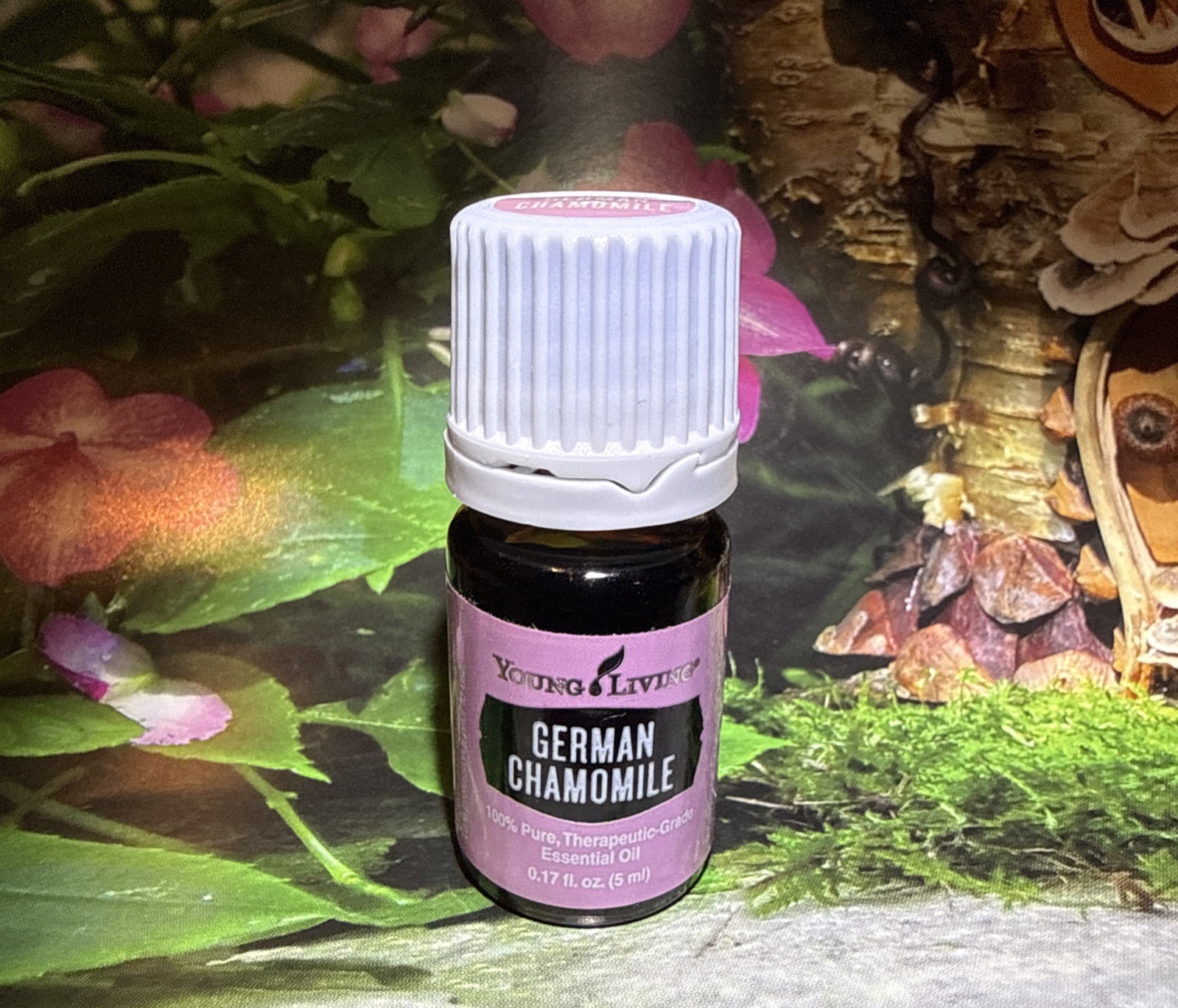 Young Living German Chamomile Essential Oil 5ml NEW SEALED