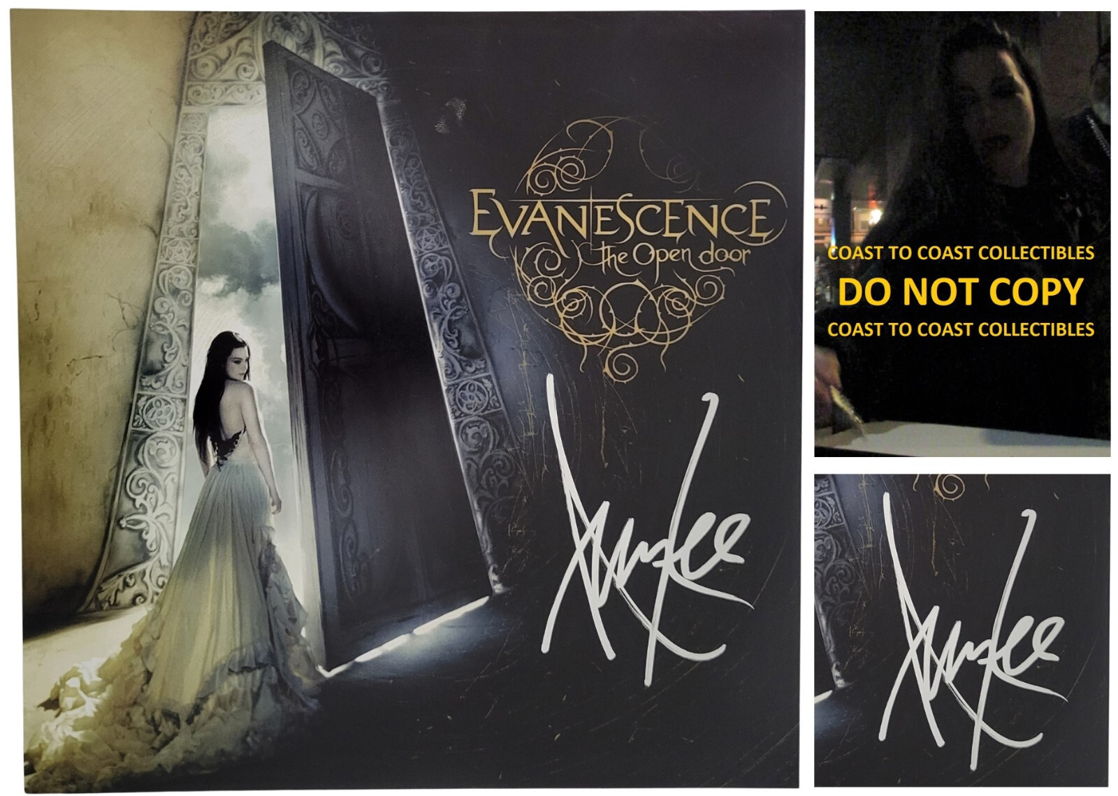 Amy Lee signed Evanescence The Open Door 12x12 photo COA proof autographed