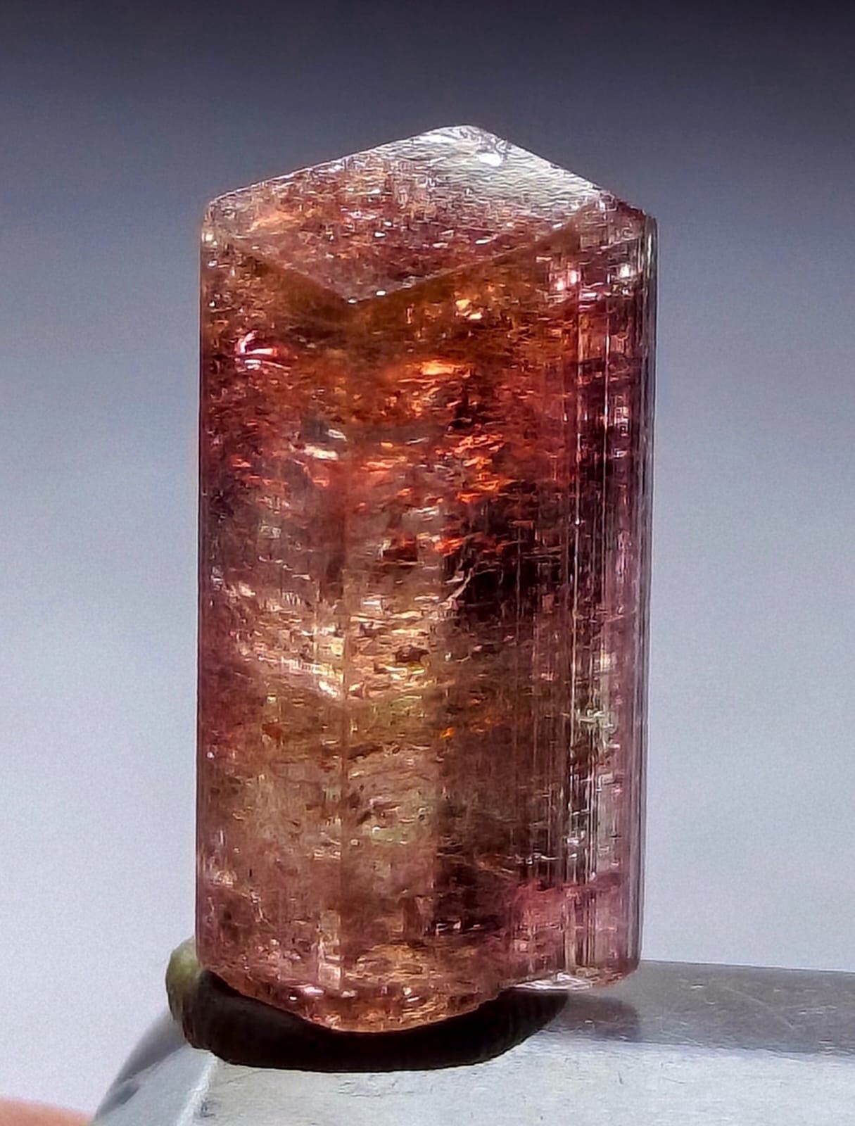 Very Rare Purple Cap Orange Watermelon Tourmaline Crystal Raw Natural Specimen