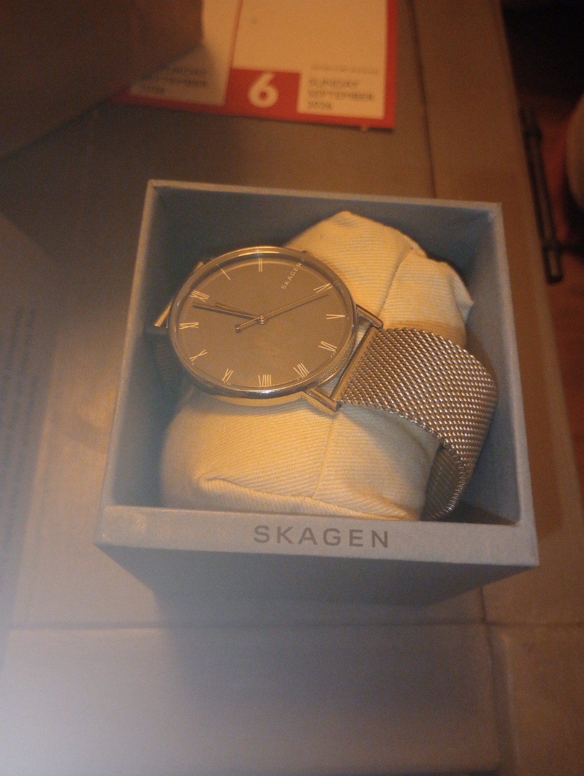 Ladies Skagen Watch skw6428