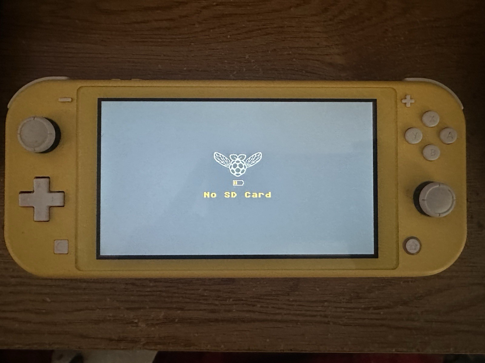 Switch Lite Mail-In Custom Firmware Service *READ DESCRIPTION*