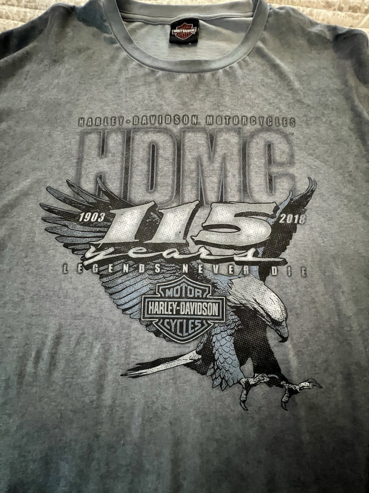 Harley-Davidson Men\'s Washed Gray Graphic Long-Sleeve Shirt NWOT 3XL 