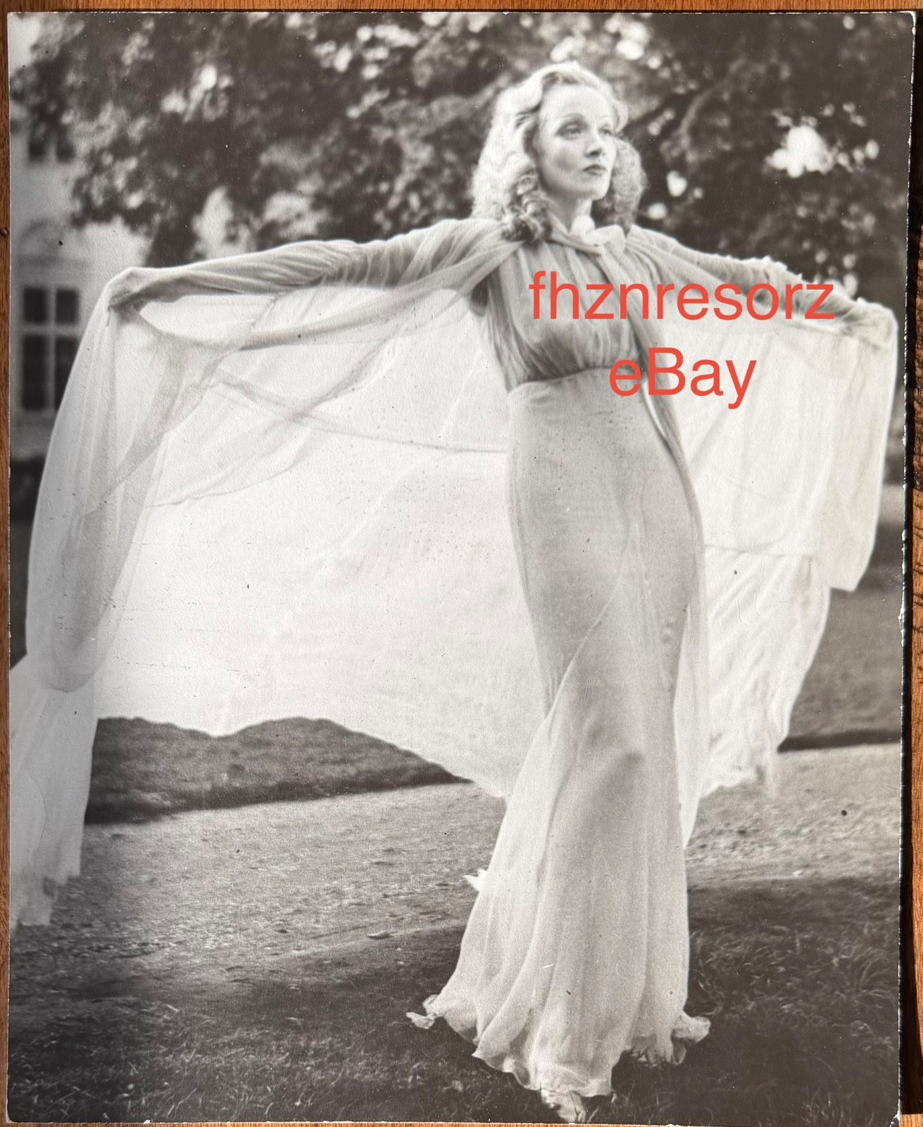1937 MARLENE DIETRICH Oversized 10 x 12 Vtg Orig Photo KNIGHT WITHOUT ARMOR
