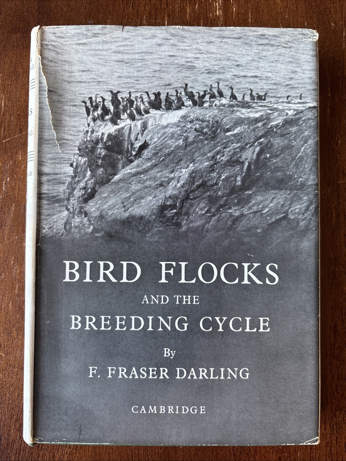 RARE VINTAGE Bird Flocks and The Breeding Cycle by F. Fraser Darling 1938 HCDJ