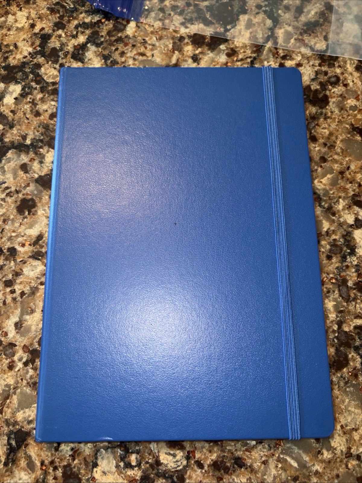 Leuchtturm1917 Dotted Notebook Medium (A5) ; 251 Pages; New, Unopened Leuchtturm1917 Dotted Notebook Medium (A5) ; 251 Pages; New, Unopened