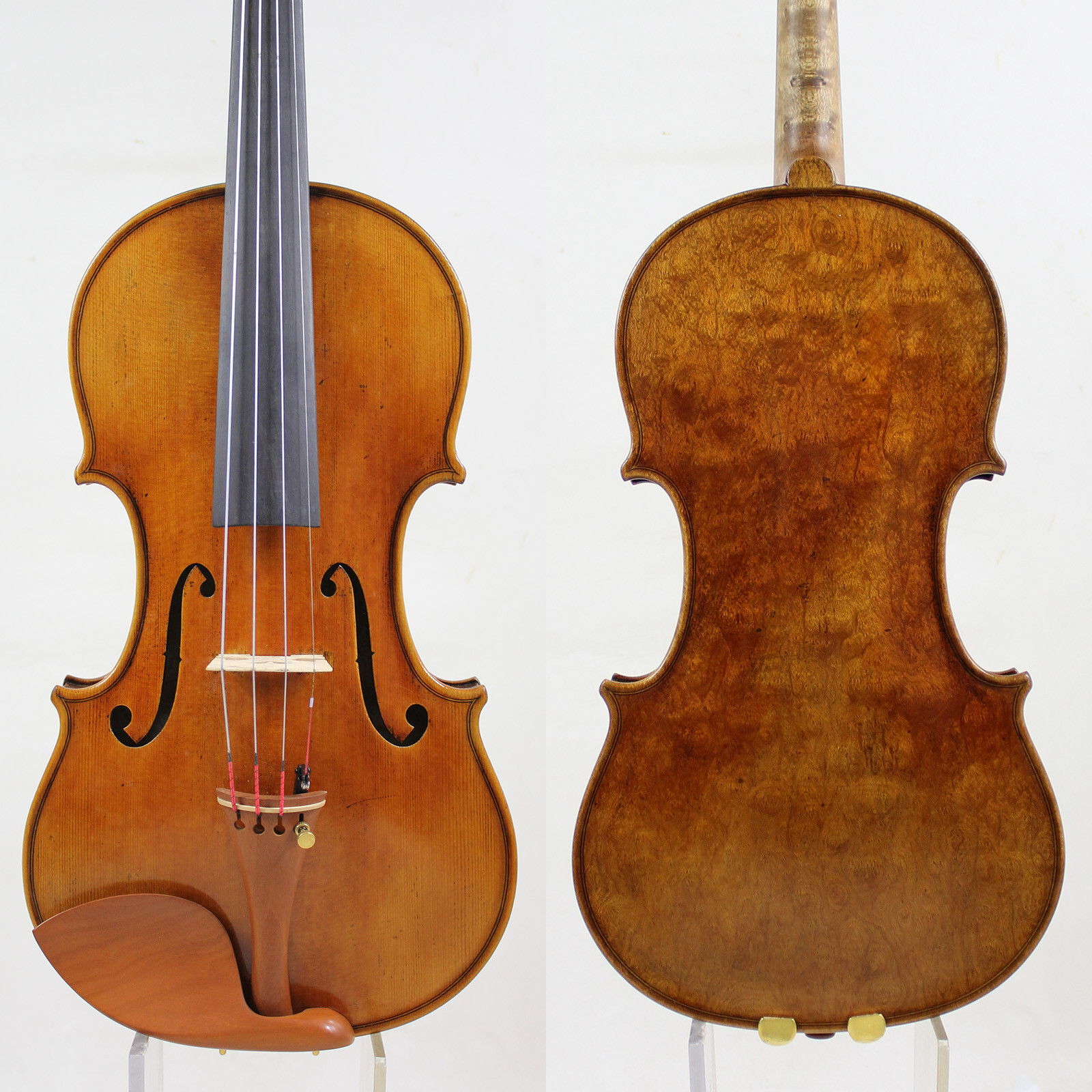 Amazing Maple  1 Pc Back ！Guarnieri \'del Gesu\' 1743 \