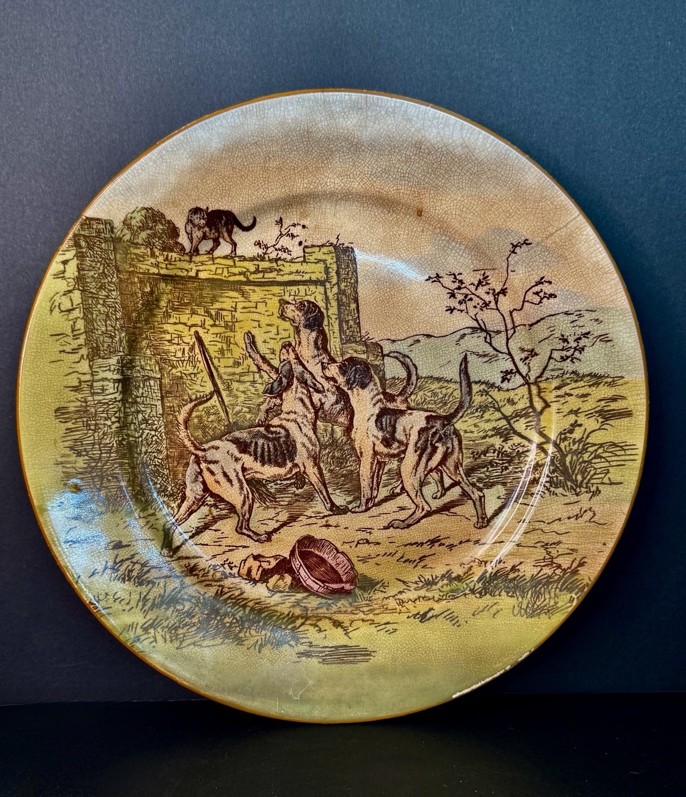 Antique Cauldon England Decorative Plate Hunting Hounds Barking at Cat Wall 10”