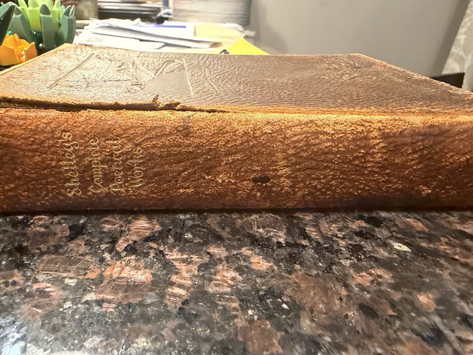 Oxford Univ Press Percy Bysshe Shelley Poetical Works Illus 1919