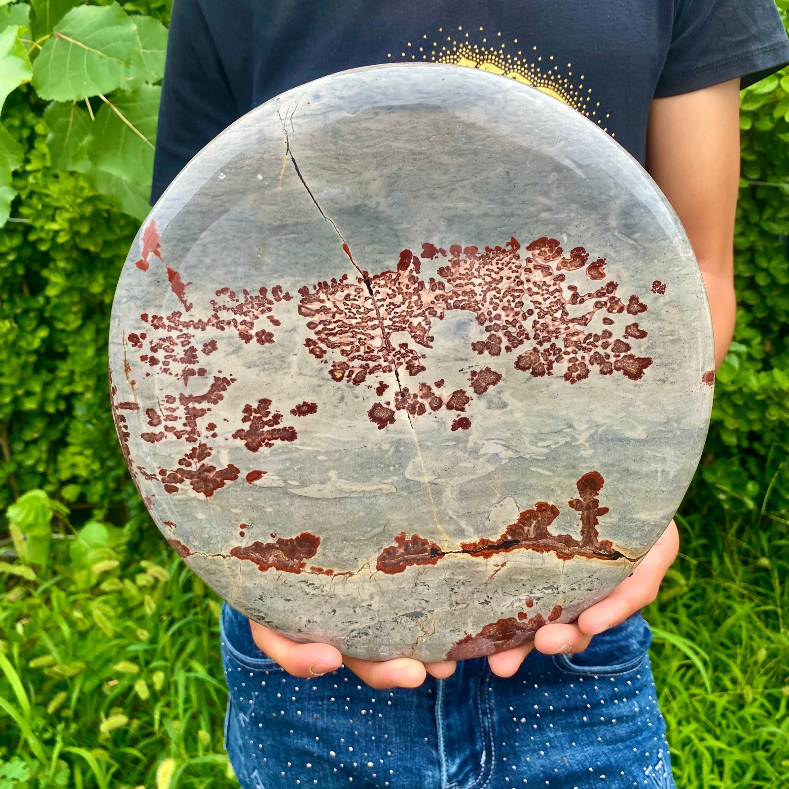8.73LB  Beautiful Natural Chinese Dendritic Limestone Picture Stone Guohua - Rar