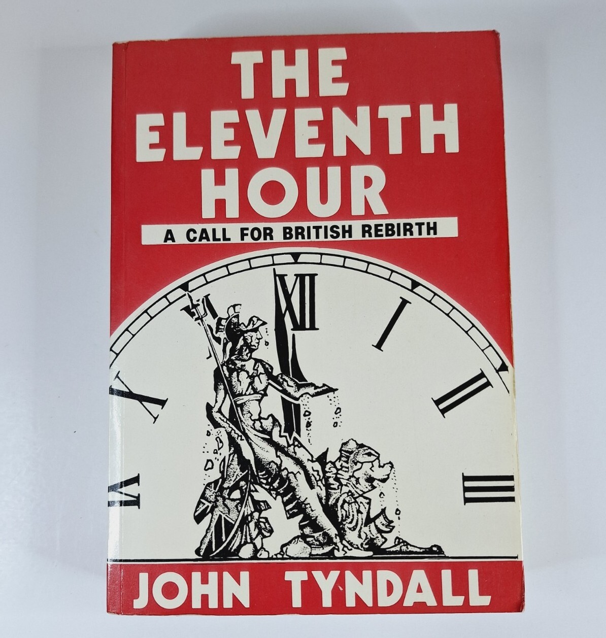 John Tyndall The Eleventh Hour - Paperback RARE