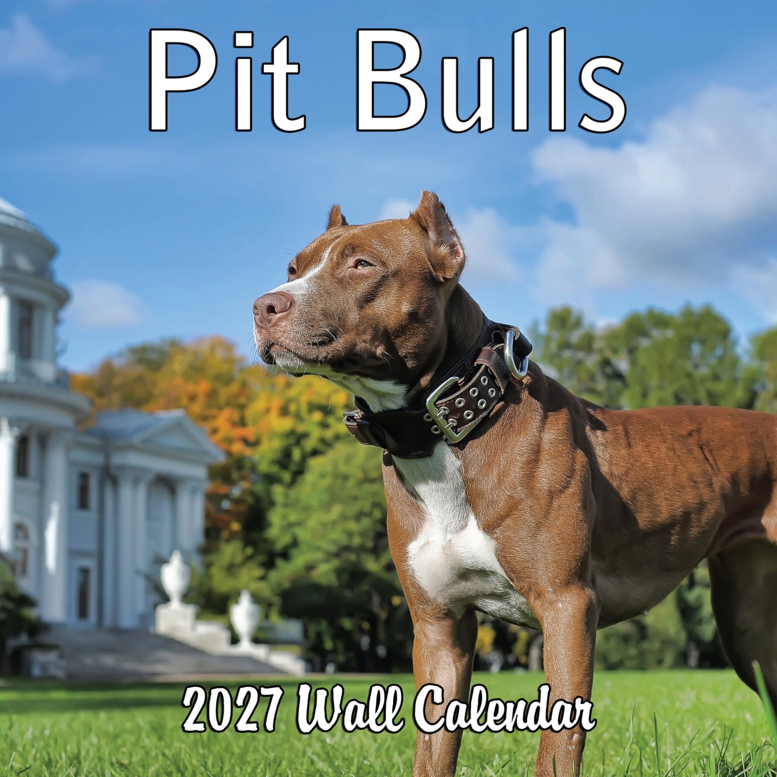 2027 Pit Bulls Monthly Wall Calendar
