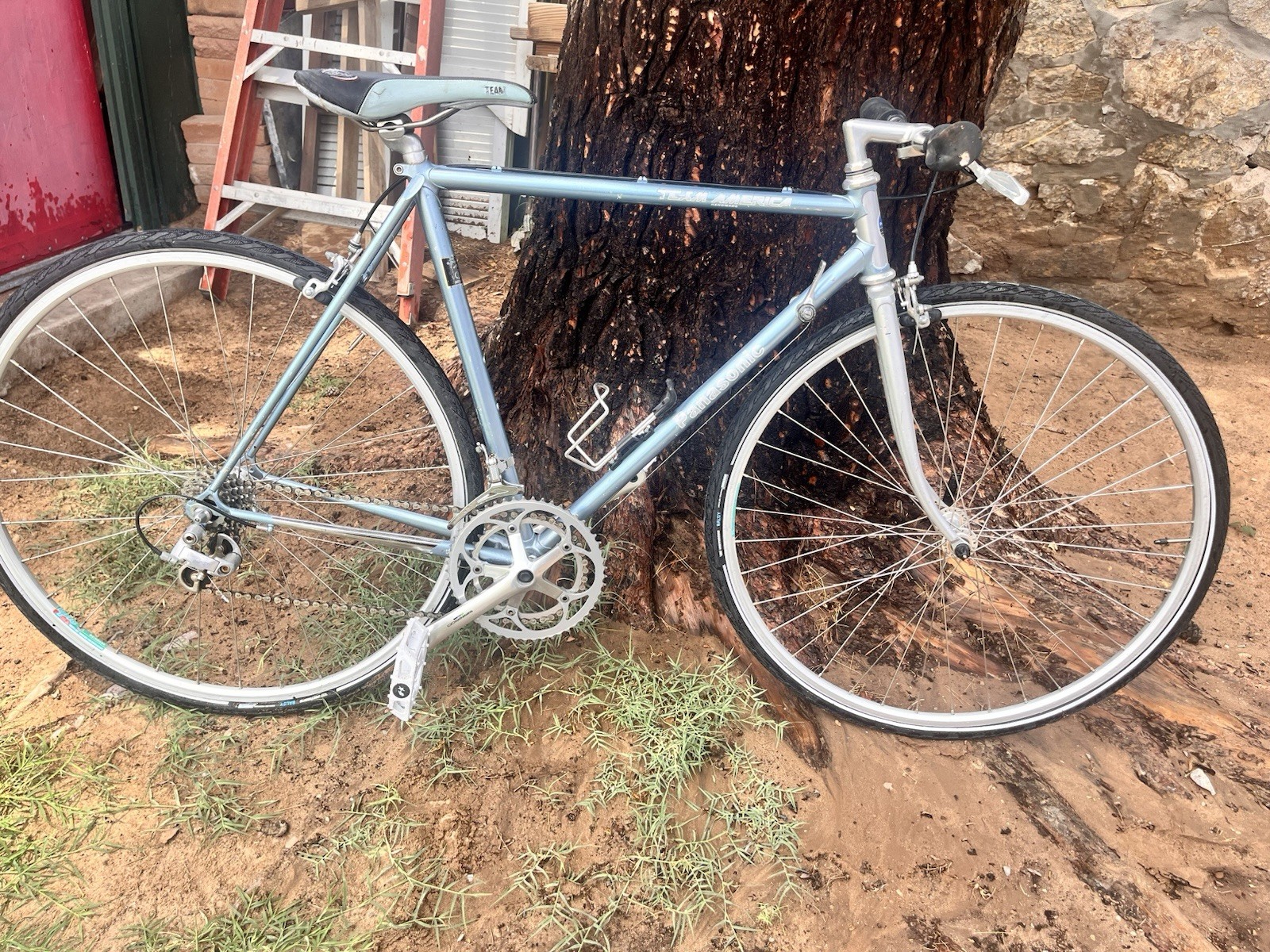 Panasonic Team America Bicycle, DuraAce, Collectors