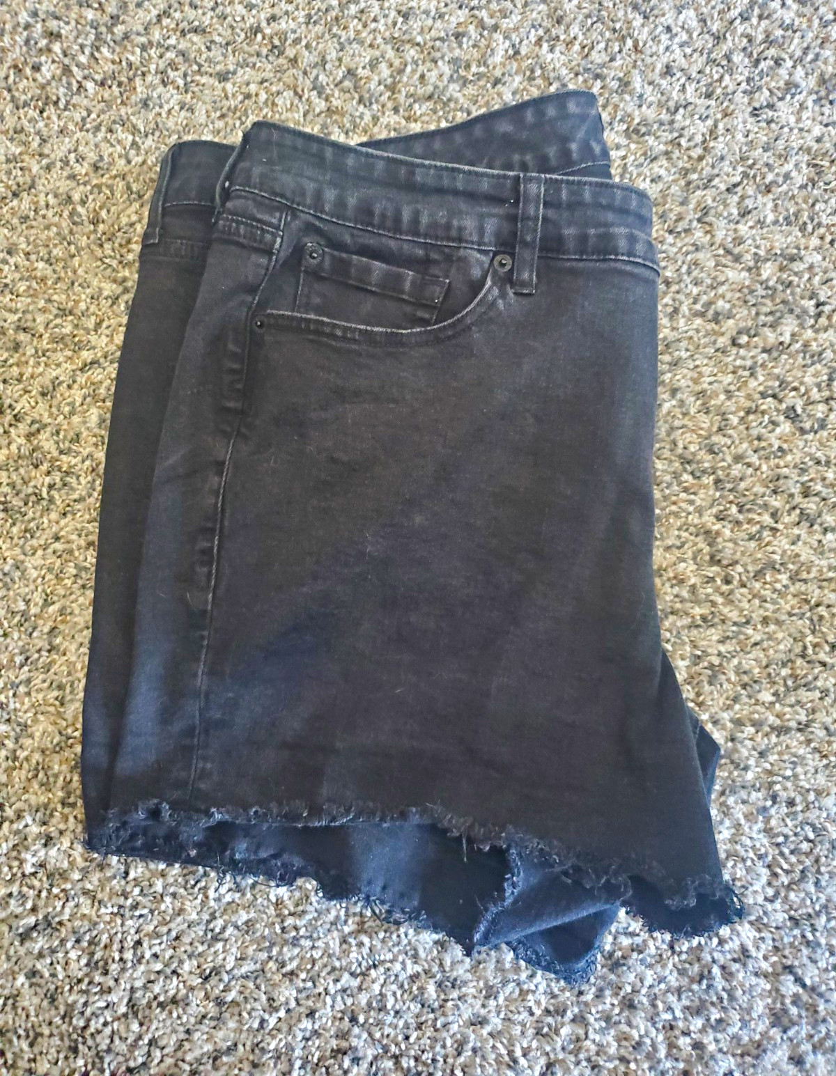 Torrid Women’s Black Denim Cut Off Shorts Frayed Hem Size 20 Plus Zip Torrid Women’s Black Denim Cut Off Shorts Frayed Hem Size 20 Plus Zip