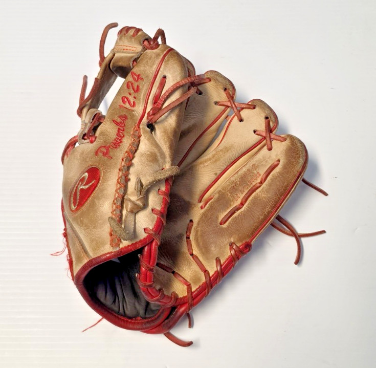 Rawlings Heart Of The Hide PRO204-2 Limited Edition 11.5” Infield Baseball Glove Rawlings Heart Of The Hide PRO204-2 Limited Edition 11.5” Infield Baseball Glove