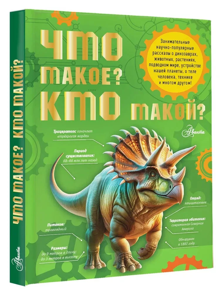 Что такое? Кто такой? | детская энциклопедия для младших школьников / book